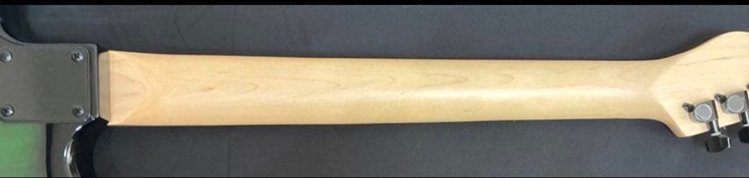 SELDER ブラック/グリーン エレキギター ソフトケース付き