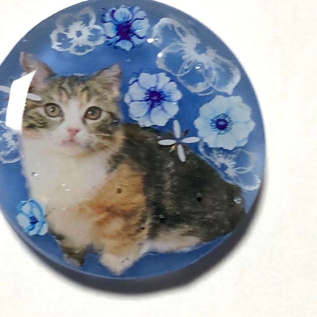 NO.164 レジンヘアゴムおすまし♡猫ちゃん