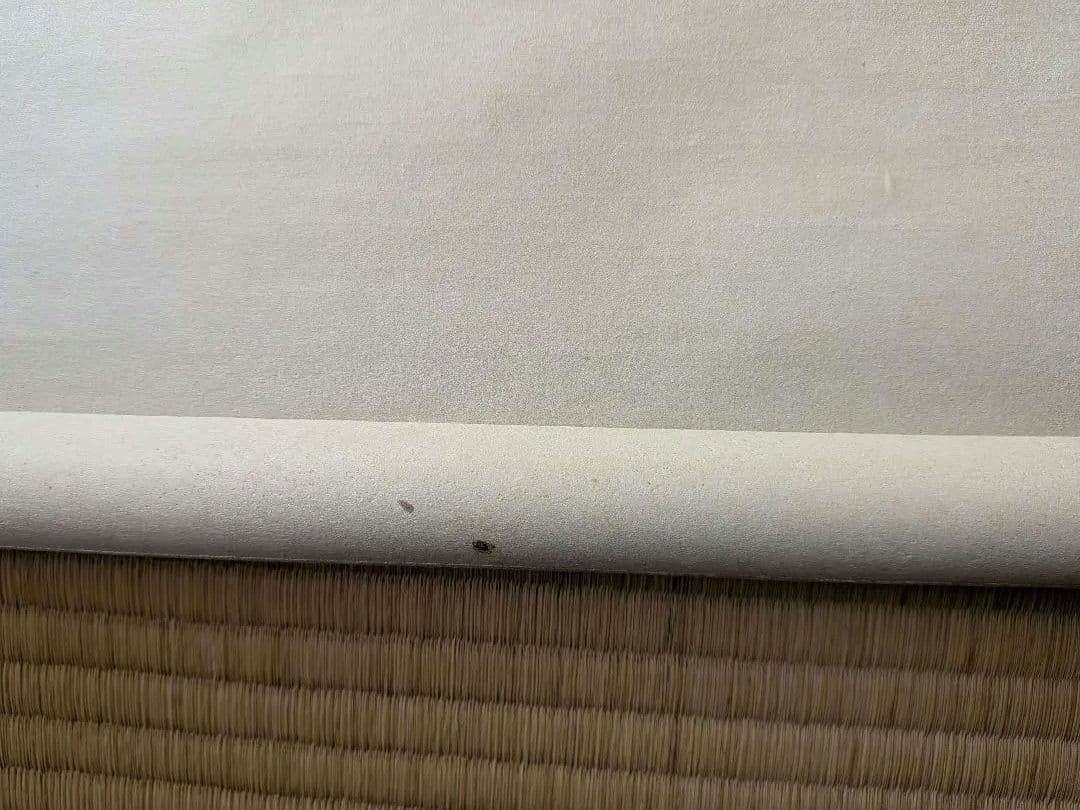 No.5 掛軸　書　高野山真言宿老大僧正　建部快運「福寿無尽蔵」おもてなし　共箱