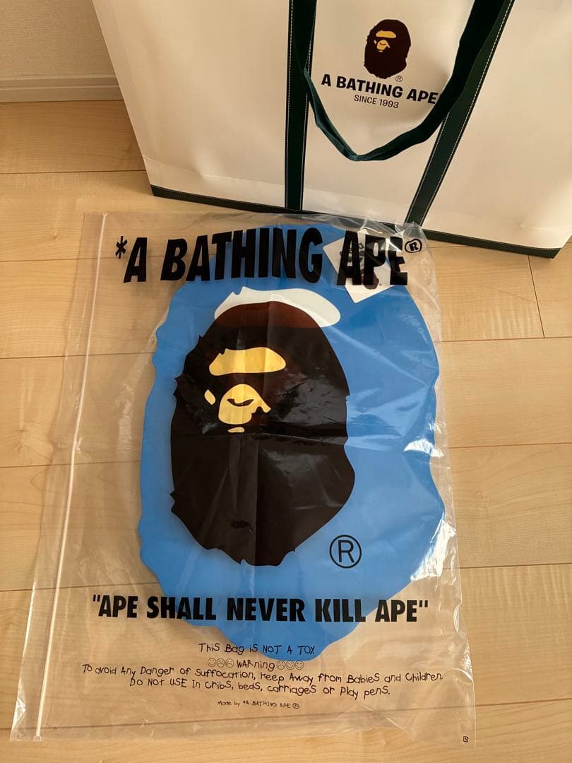 新品未使用 BAPE× arena KICK BOARD 壁画　壁面ディスプレイ