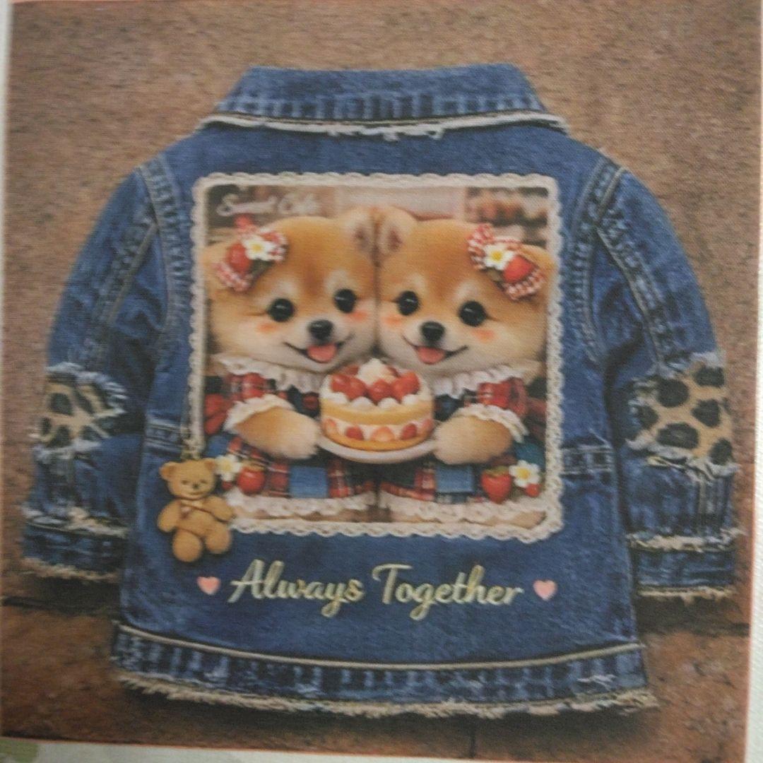 ☆受付☆柴犬