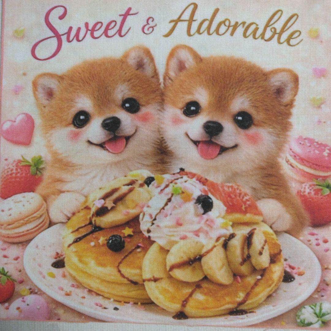 ☆受付☆柴犬