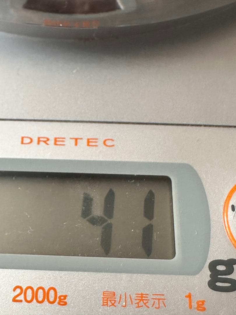 チベットの珊瑚