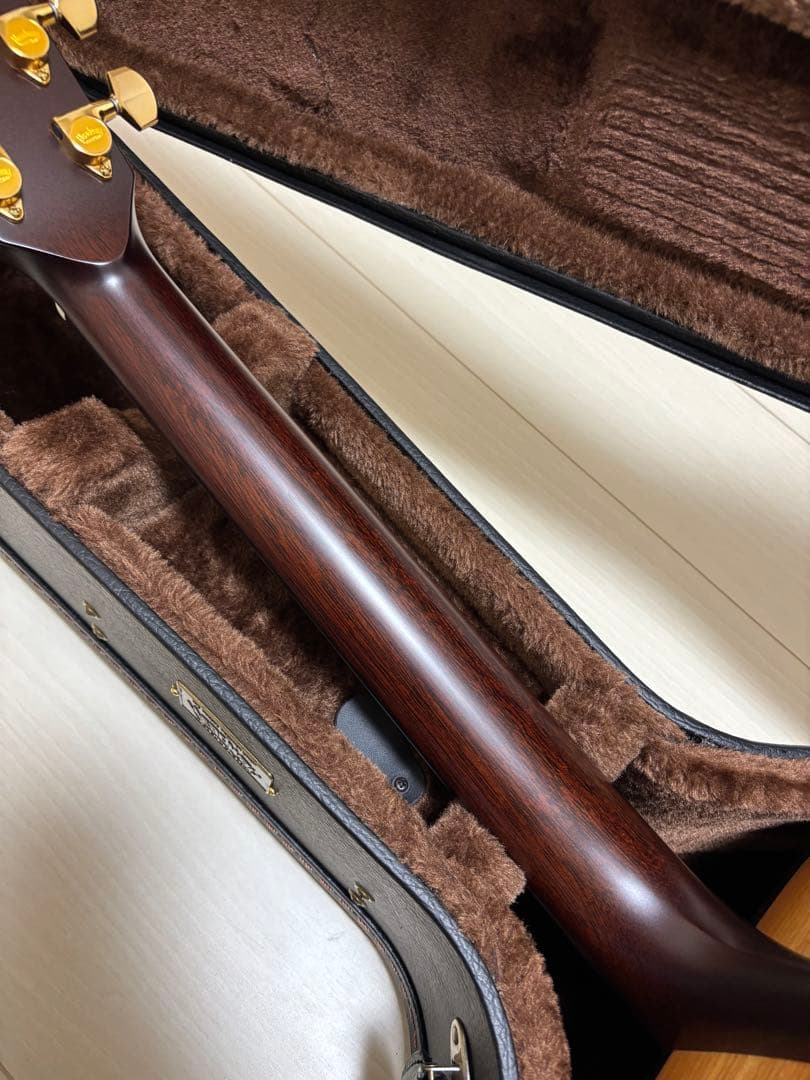 ギター Headway HD-531 Coffee SF.S/STD CLB