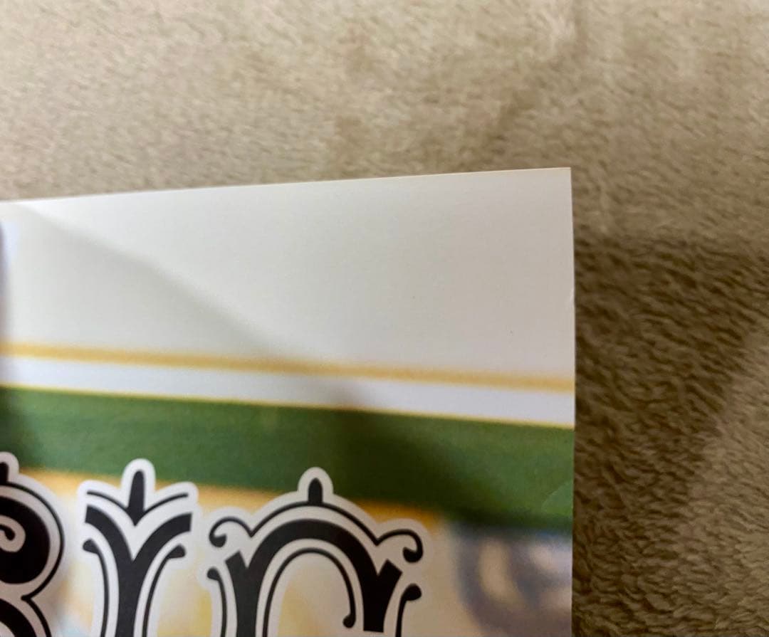 The Birthday チバユウスケ 中村達也 タワーレコード ポスター