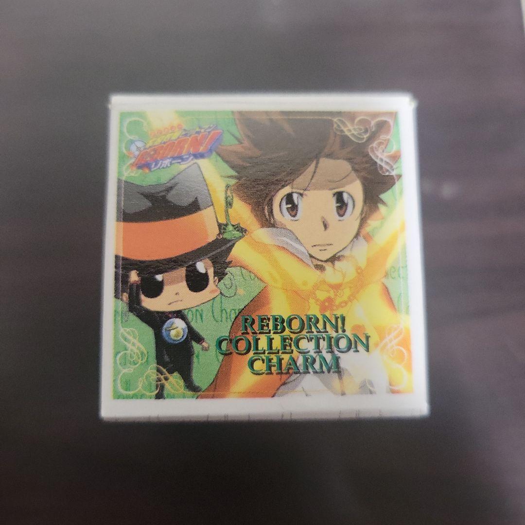 家庭教師ヒットマンREBORN!コレクションチャーム　コンプ