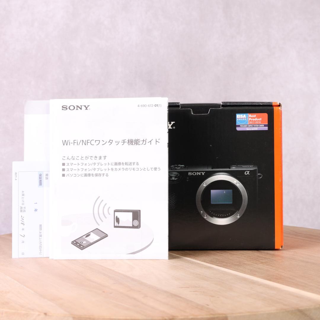 【メーカー整備済】SONY α6500　small Rigカメラケージ他付属品