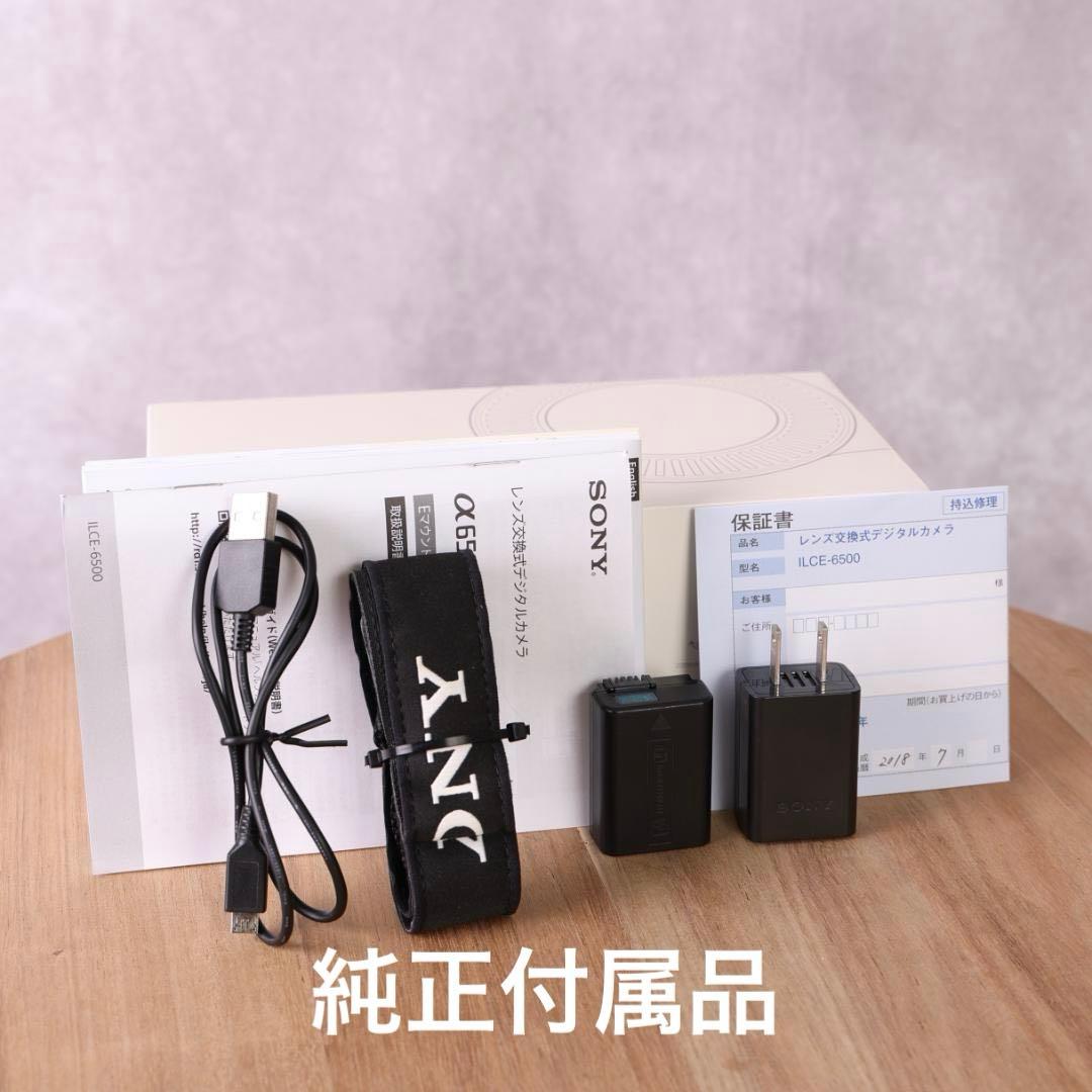 【メーカー整備済】SONY α6500　small Rigカメラケージ他付属品