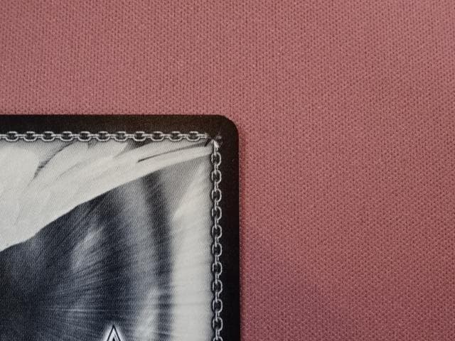 ヴァイス 眩い柔肌 シャチ SSP サイン 44-MA0220-05C