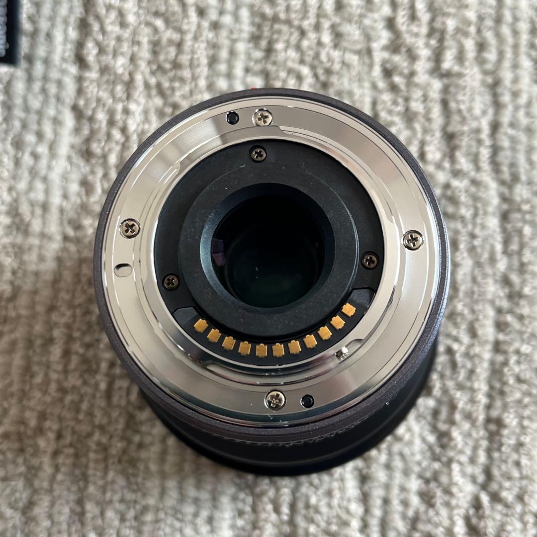 パナソニック H-F007014 LUMIX G VARIO 7-14mm