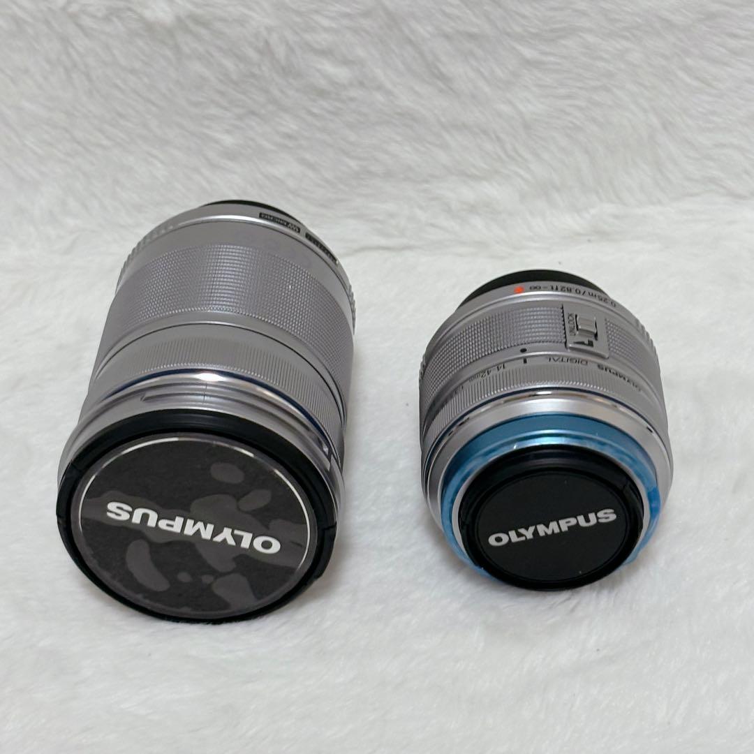 【未使用級】Olympus pen Lite E-PL3 ダブルスキームキット