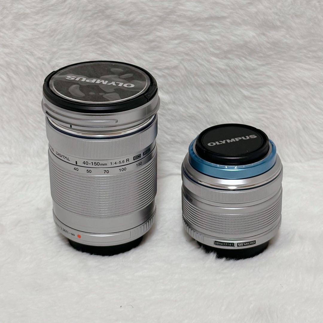 【未使用級】Olympus pen Lite E-PL3 ダブルスキームキット