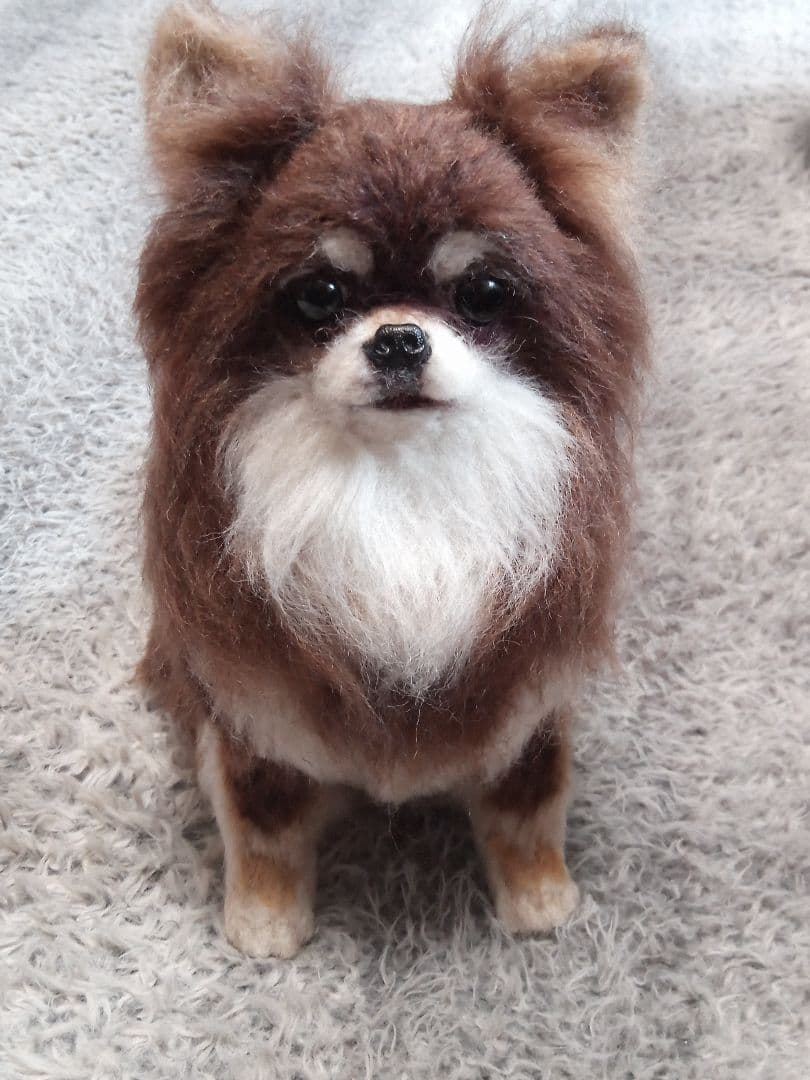 愛犬 さんの 羊毛フェルトオーダー・ masami様ご確認専用
