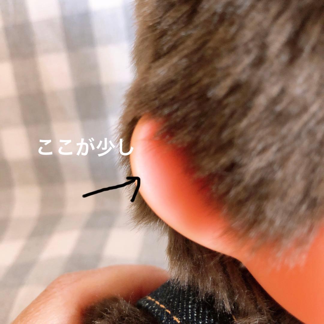 EDWIN × モンチッチ コラボ第一弾　M 女の子