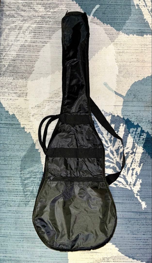 【美品】アリア　ミニギター ASA-18C N ソフトケース付