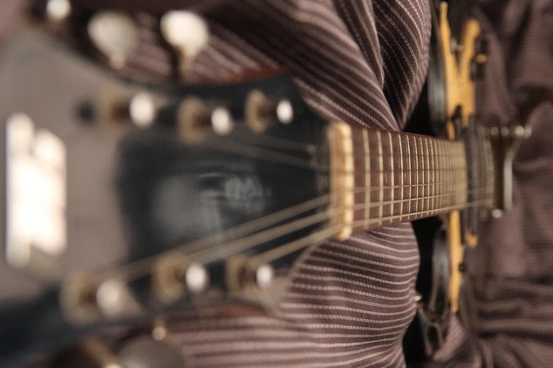 Tokai Hummingbird 200S 1960年代 日本製