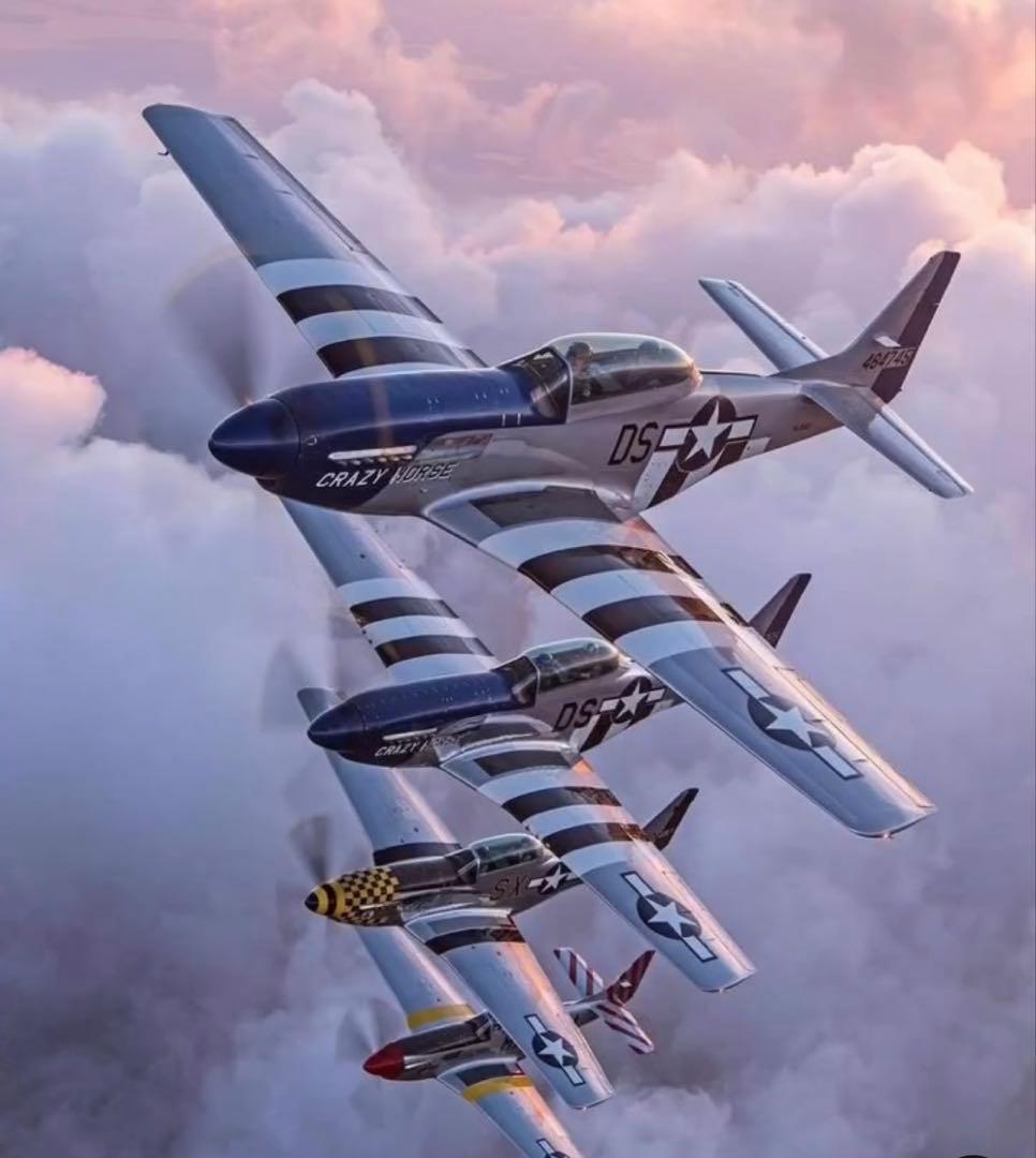 P51 ムスタング1/24 プラモデル 絶版レア 希少品