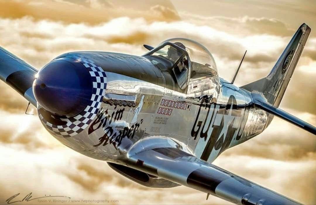P51 ムスタング1/24 プラモデル 絶版レア 希少品