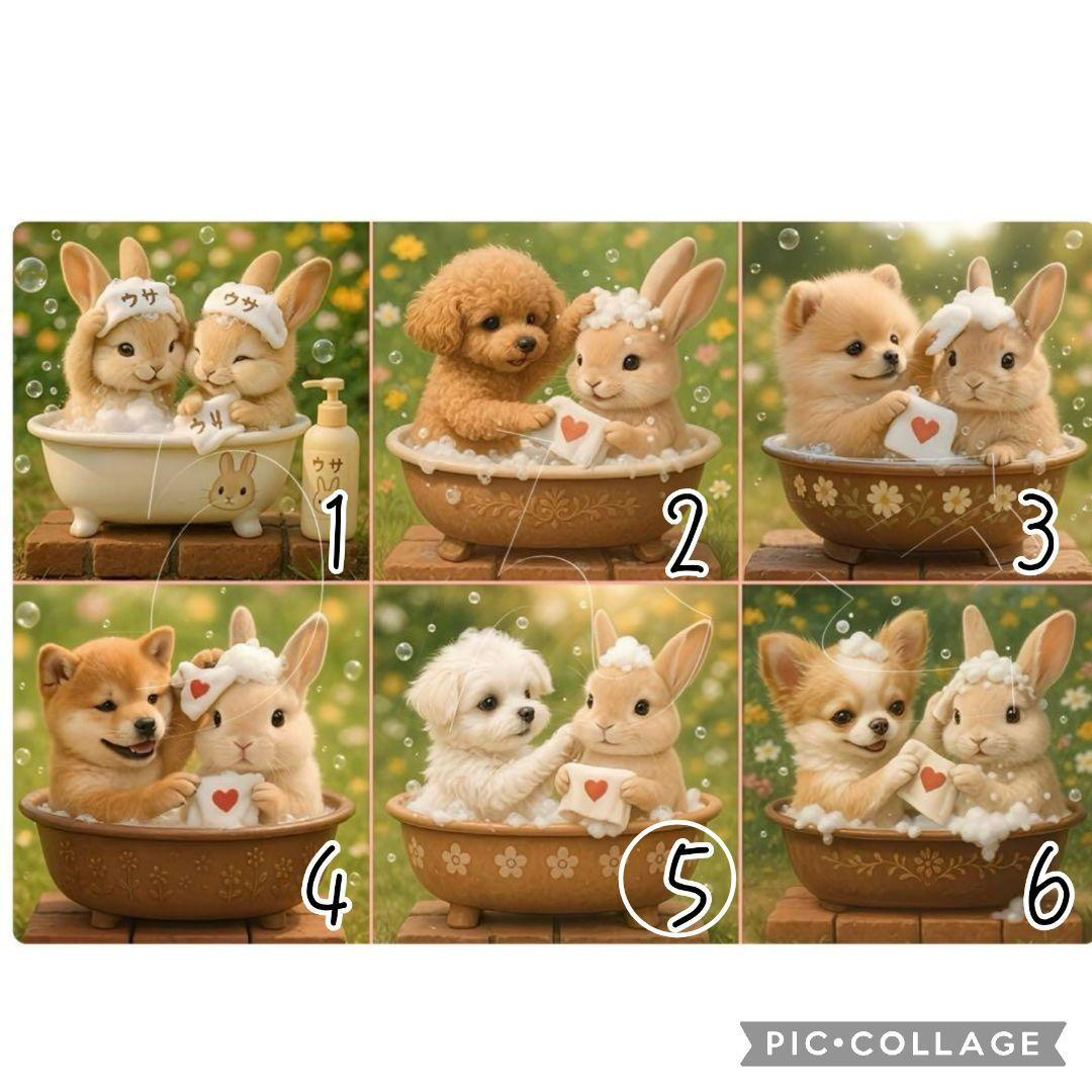 【3月】スーディー