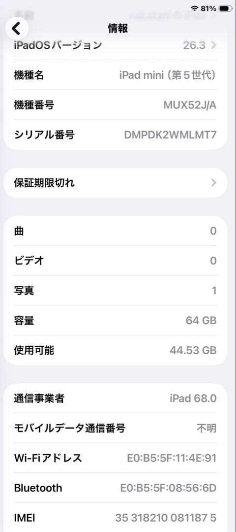 iPadmini5セルラー64GB 常時イヤホンモード（不具合）本体のみ88%