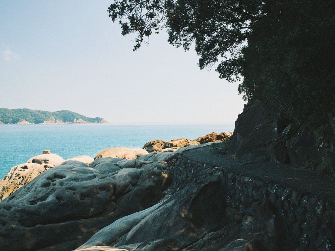 CANON EOS 1V HS ボディ