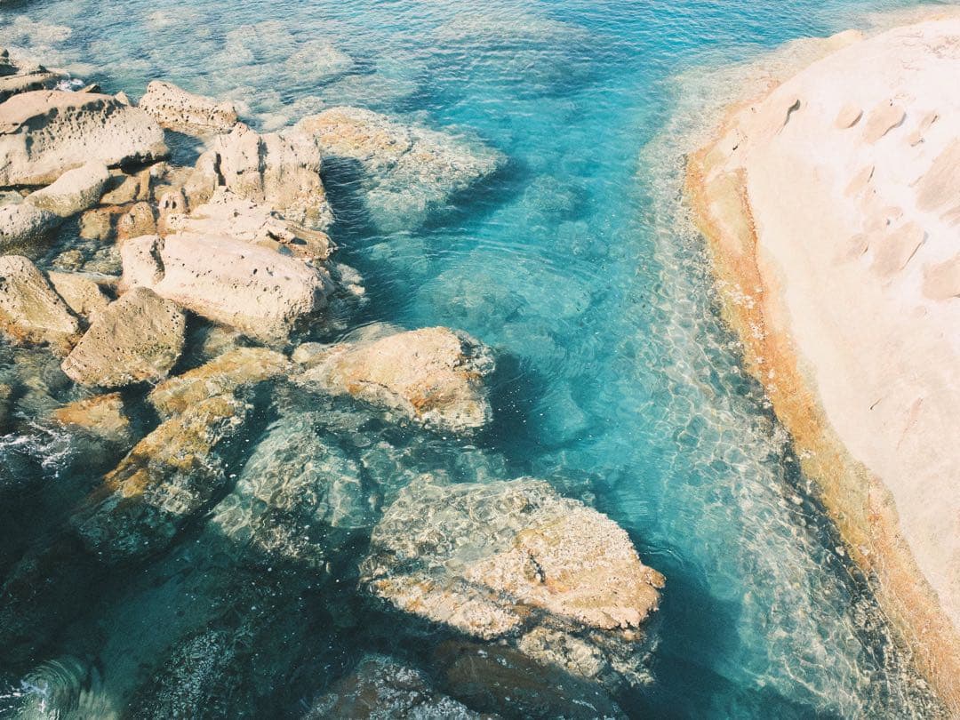 CANON EOS 1V HS ボディ