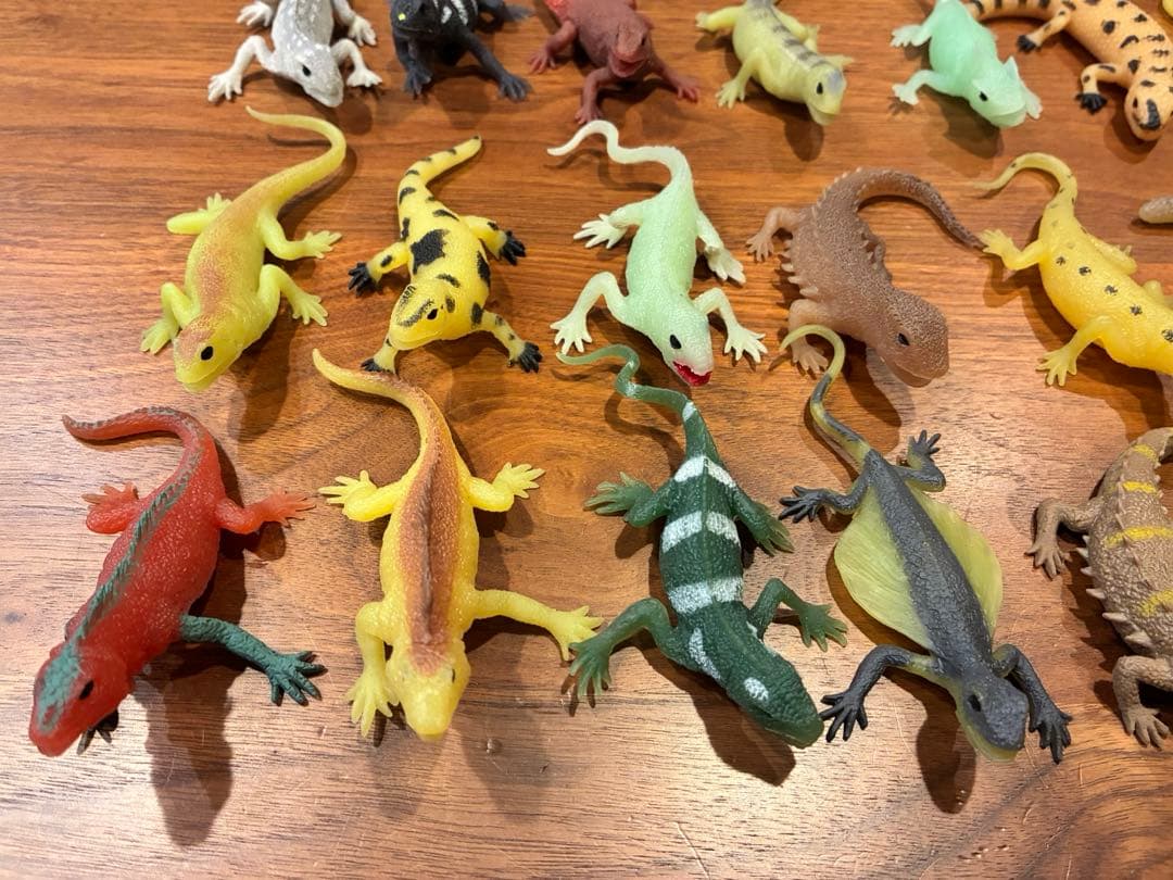 イグアナ&co 22体セット