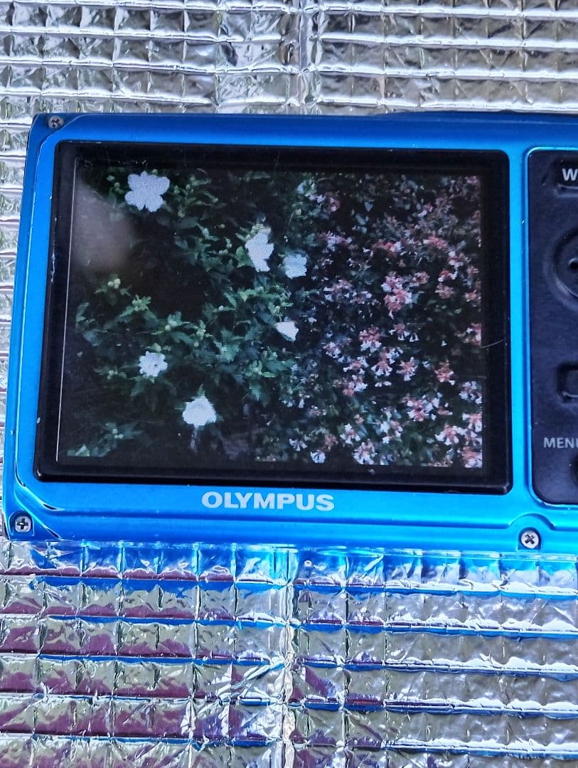 オリンパス デジタル カメラ