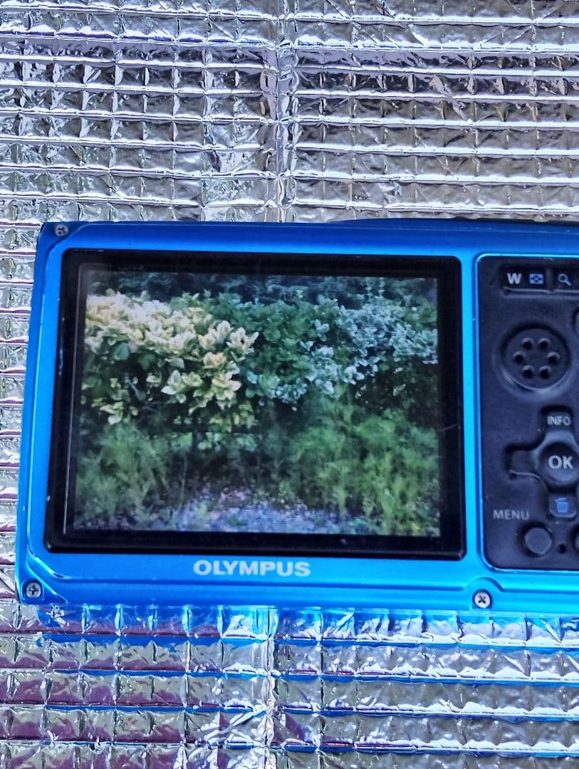 オリンパス デジタル カメラ