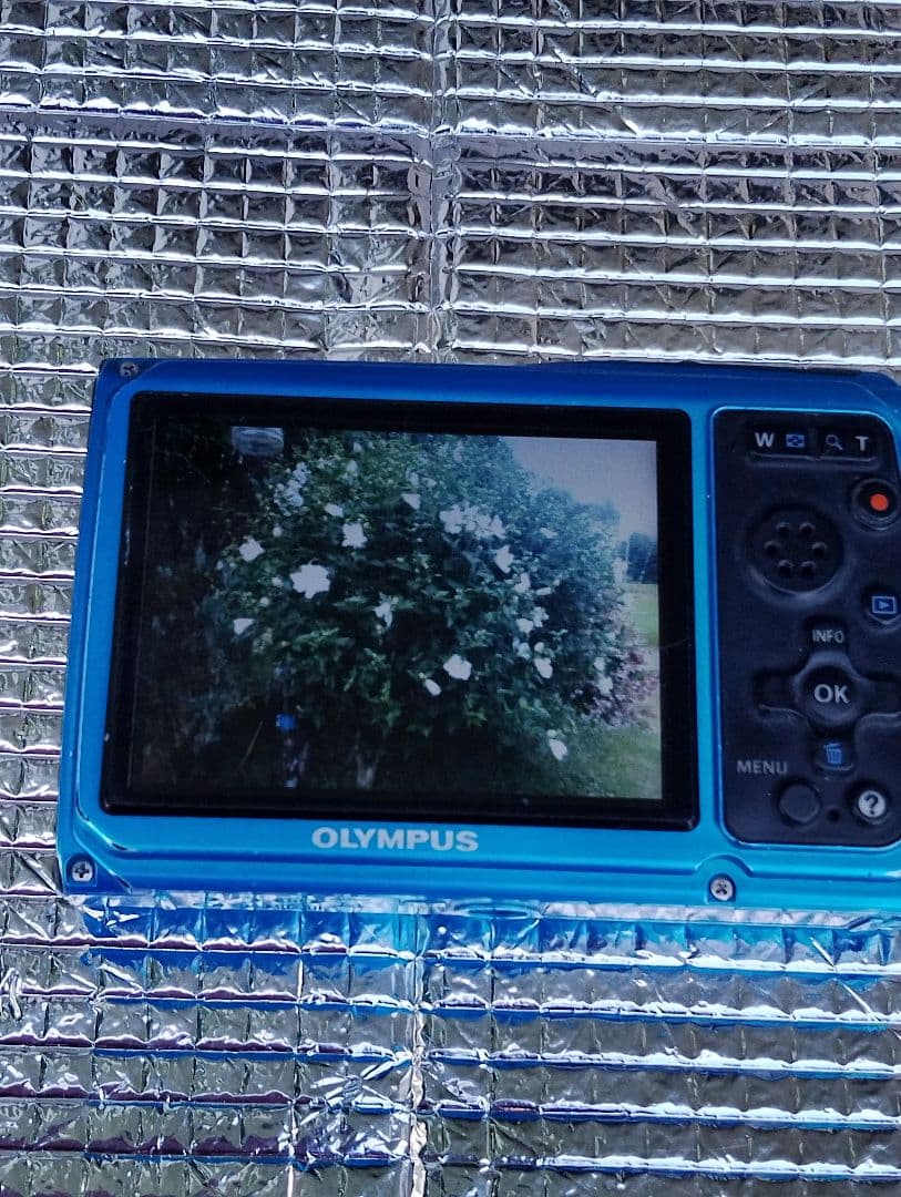 オリンパス デジタル カメラ
