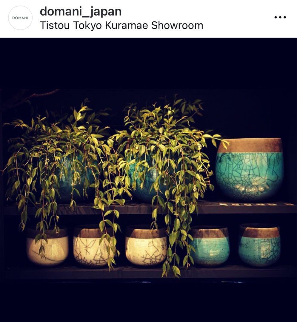 DOMANI ドマーニ FES 鉢（旧ロゴ・廃盤）／小ぶりサイズ