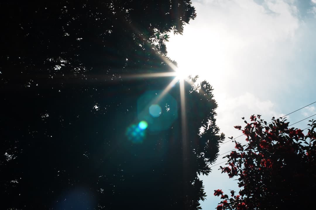 【極美品】動作◎ Canon New FD 50mm F1.2 451