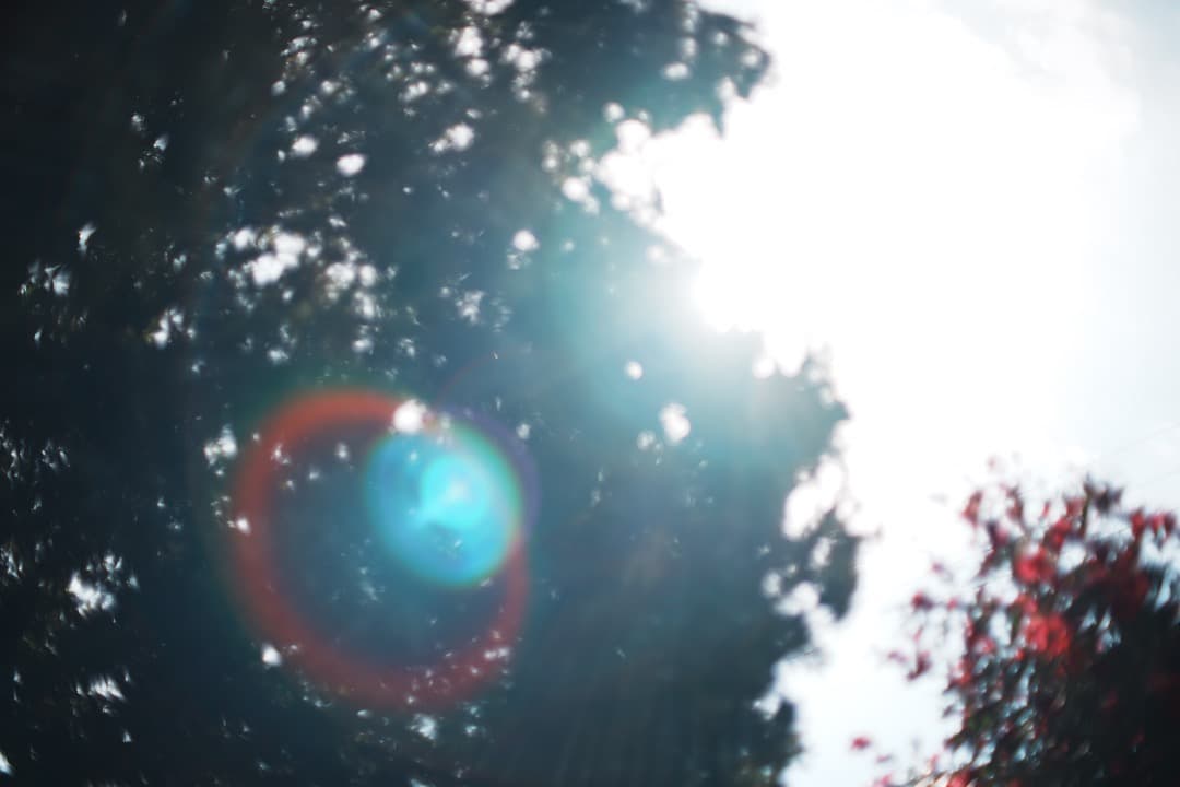 【極美品】動作◎ Canon New FD 50mm F1.2 451