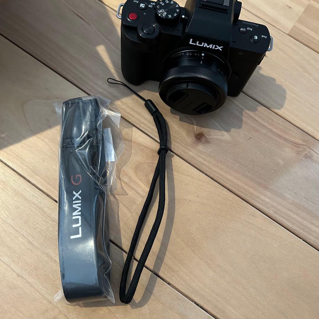 Panasonic LUMIX G100D グリップキット