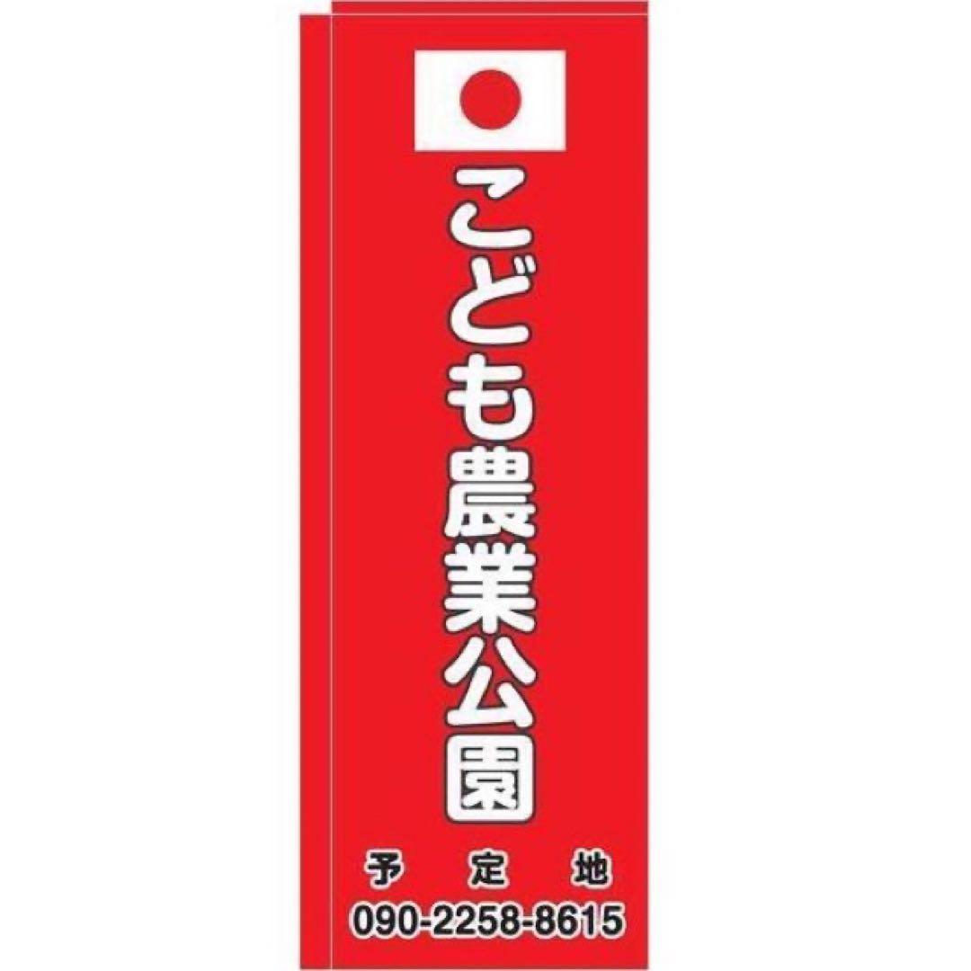 魯山人シリーズ【魯山人写しの器　色絵春秋長角盛皿　寺田春栄　作】