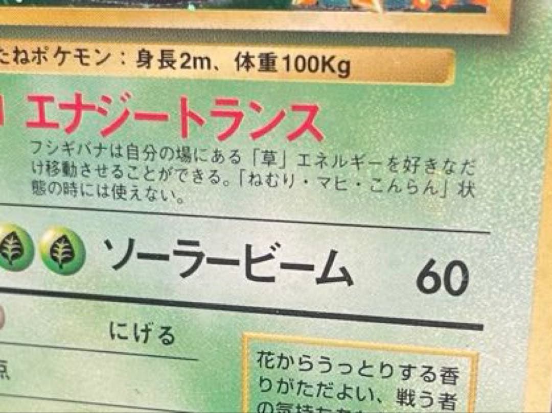 本日限定価格　旧裏 ポケモンカード 全て全面ホロ　3枚 フシギバナ　ミュウツー