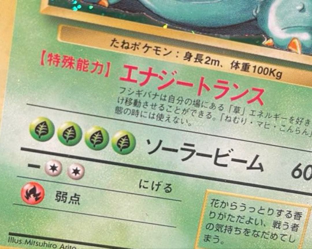 本日限定価格　旧裏 ポケモンカード 全て全面ホロ　3枚 フシギバナ　ミュウツー