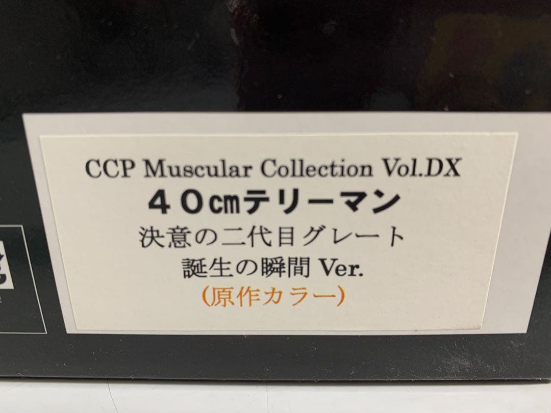 キン肉マン テリーマン 原作カラー 40cm 通巻100巻＆CCP10周年記念