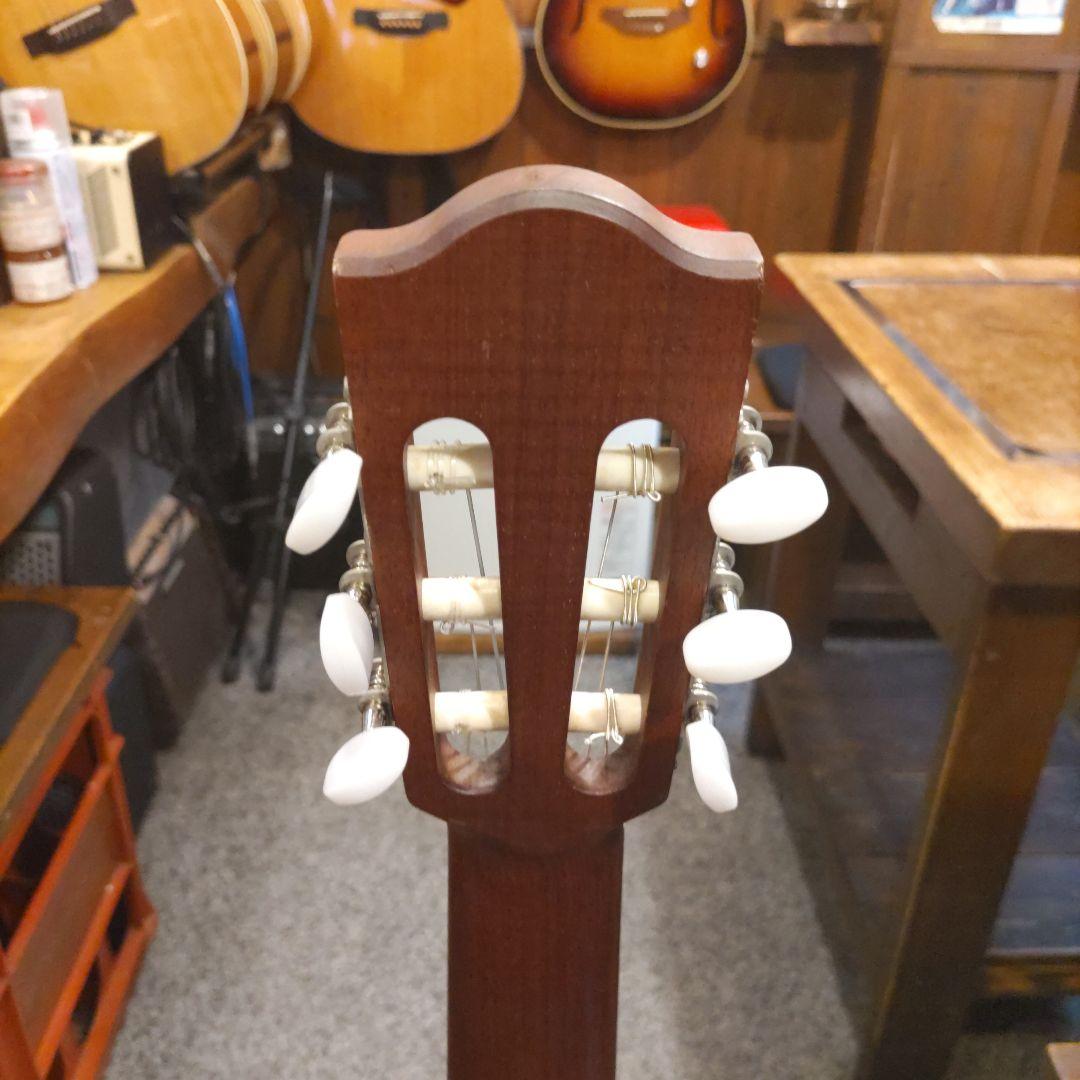 Alhambra NATURE CW EZ エレガット (管理サオテ)