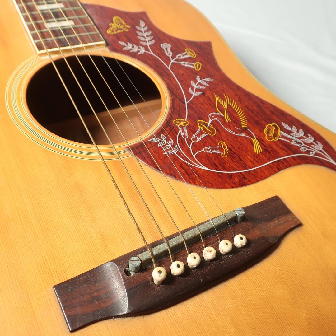 Elite Takamine HM-25 ハミングバード ギター ハードケース付