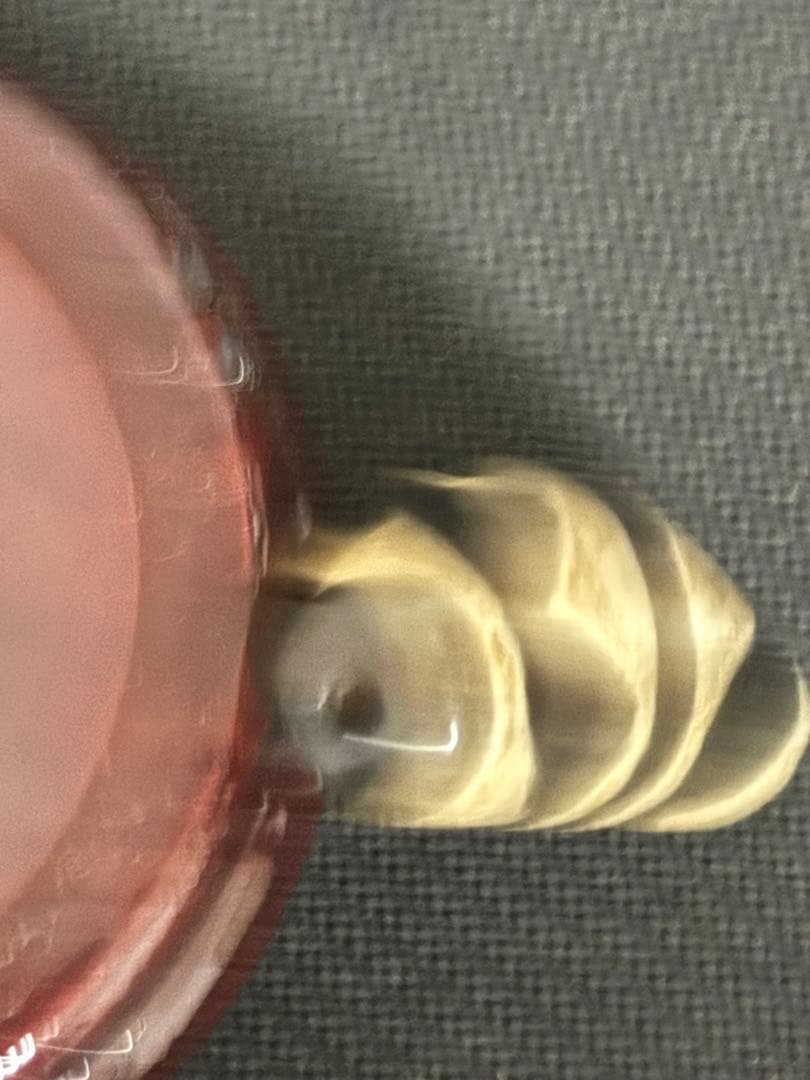 藏傳天珠 牛角天珠 チベット産　風水