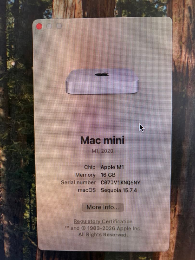 Macデスクトップ Apple Mac mini M1 16gb 512gb