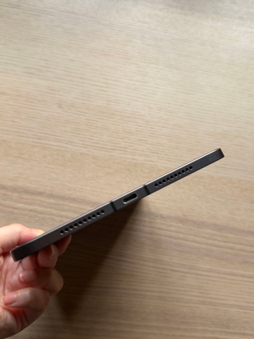 ipad mini 第6世代 Wi-Fi + Cellular 256GB