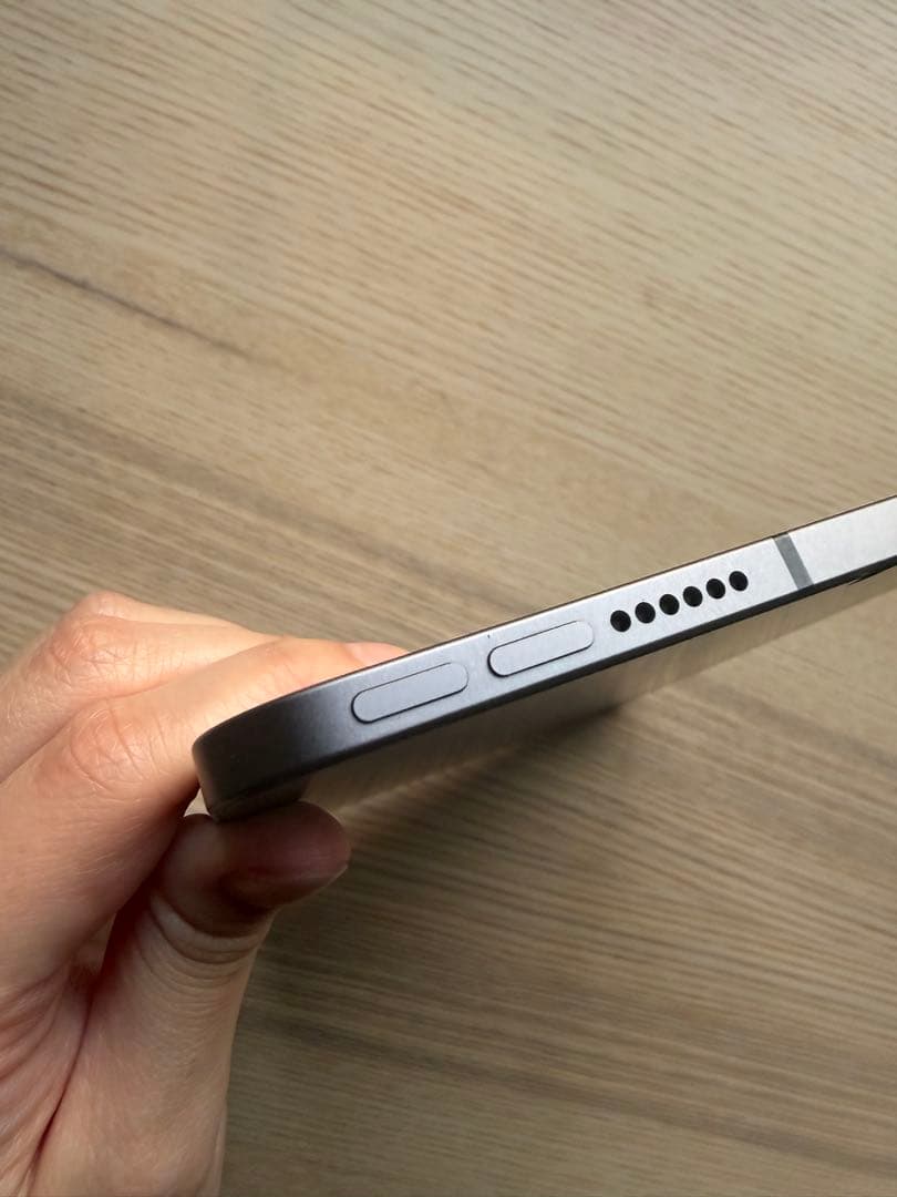 ipad mini 第6世代 Wi-Fi + Cellular 256GB