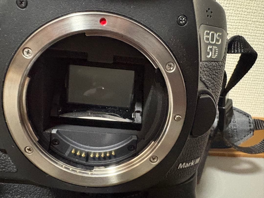 Canon EOS 5D Ⅲボデイ