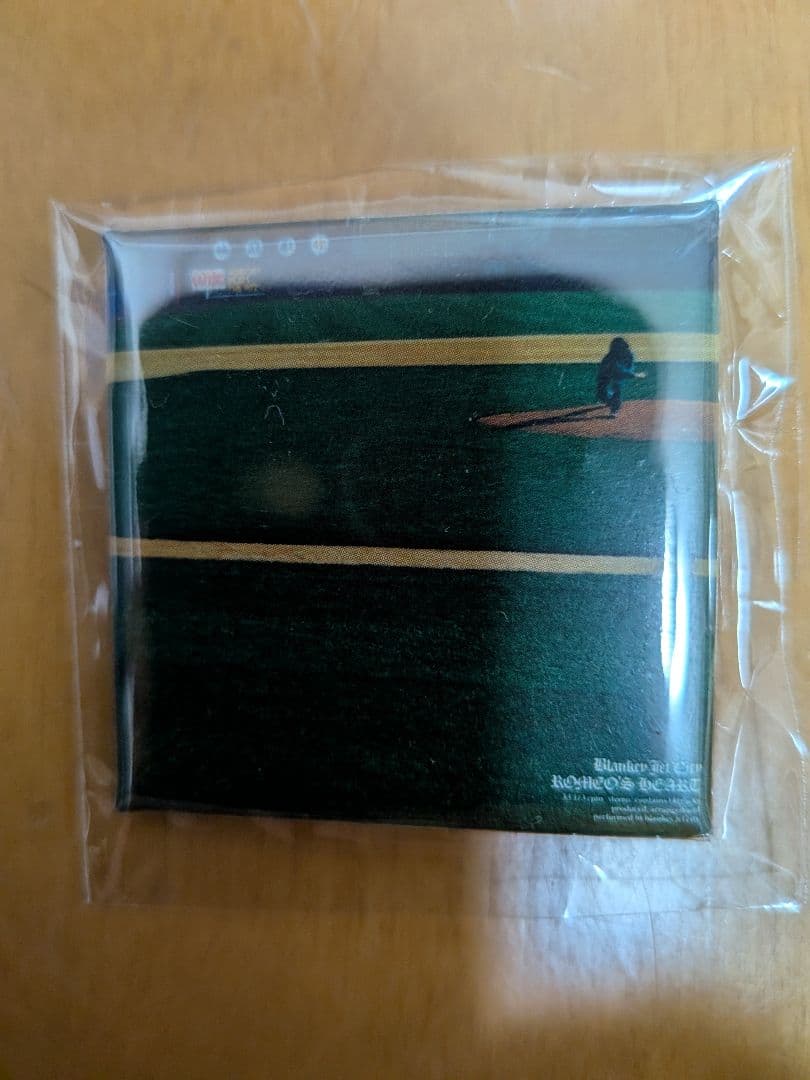 ブランキージェットシティ 非売品タワレコ特典缶バッジ完全セット TMGE