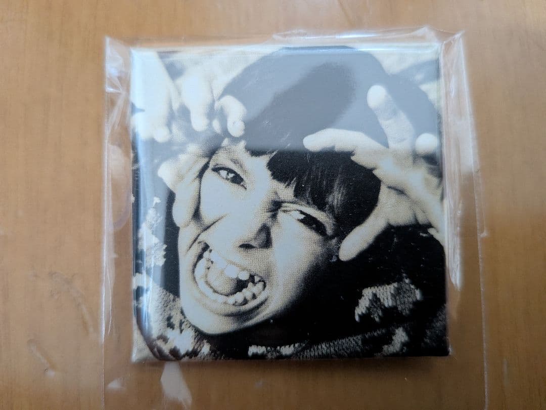 ブランキージェットシティ 非売品タワレコ特典缶バッジ完全セット TMGE