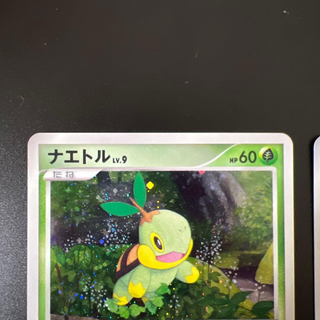 出品日当日限定値下げ中　ナエトル　プロモ　001/PPP 3枚セット