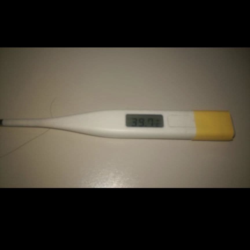 ②のらりくらり悠木☆完全オリジナル/完結本