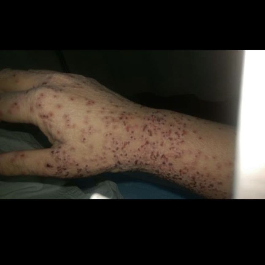 ②のらりくらり悠木☆完全オリジナル/完結本